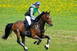 kreuth-2014_cic1-075-jpg