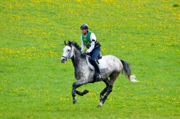 kreuth-2014_cic1-077-jpg