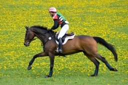 kreuth-2014_cic1-094-jpg