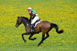 kreuth-2014_cic1-095-jpg