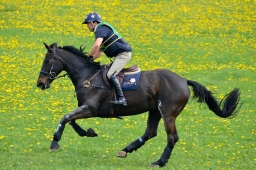 kreuth-2014_cic1-097-jpg