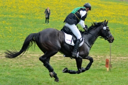 kreuth-2014_cic1-105-jpg