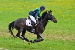 kreuth-2014_cic1-110-jpg