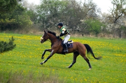 kreuth-2014_cic1-117-jpg