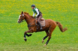 kreuth-2014_cic1-141-jpg