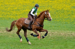 kreuth-2014_cic1-143-jpg