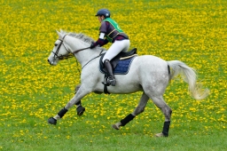 kreuth-2014_cic1-145-jpg