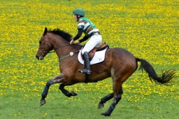kreuth-2014_cic1-148-jpg