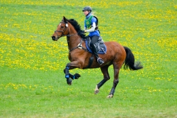 kreuth-2014_cic1-155-jpg