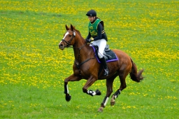 kreuth-2014_cic1-159-jpg