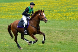 kreuth-2014_cic1-163-jpg