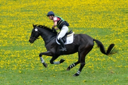 kreuth-2014_cic1-164-jpg