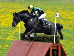 kreuth-2014_cic1-170-jpg
