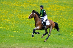 kreuth-2014_cic1-175-jpg