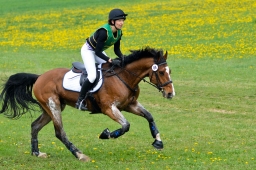 kreuth-2014_cic1-177-jpg