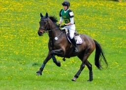 kreuth-2014_cic1-182-jpg
