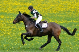 kreuth-2014_cic1-184-jpg