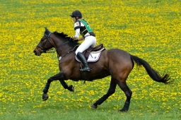 kreuth-2014_cic1-185-jpg