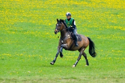 kreuth-2014_cic1-190-jpg