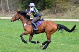 kreuth-2014_cic1-219-jpg