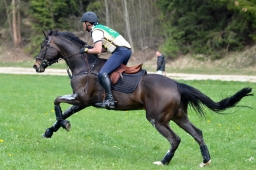 kreuth-2014_cic1-222-jpg