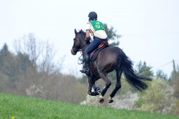 kreuth-2014_cic1-224-jpg
