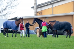 kreuth-2014_cic1-225-jpg