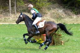 kreuth-2014_cic1-230-jpg