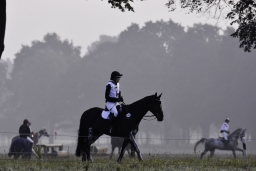langenhagen-2017_cic1-002-jpg