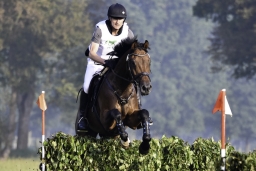 langenhagen-2017_cic1-008-jpg