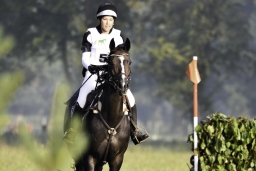 langenhagen-2017_cic1-011-jpg