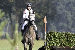 langenhagen-2017_cic1-014-jpg