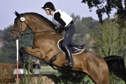 langenhagen-2017_cic1-018-jpg
