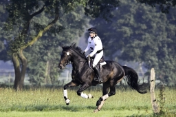 langenhagen-2017_cic1-023-jpg