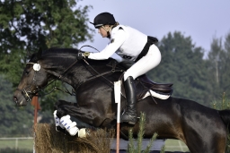 langenhagen-2017_cic1-027-jpg