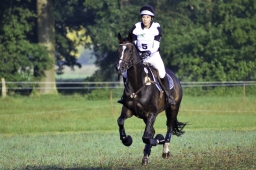 langenhagen-2017_cic1-028-jpg