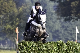 langenhagen-2017_cic1-029-jpg