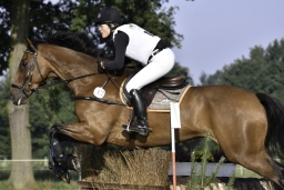 langenhagen-2017_cic1-063-jpg