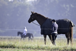 langenhagen-2017_cic1-076-jpg