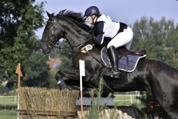 langenhagen-2017_cic1-080-jpg