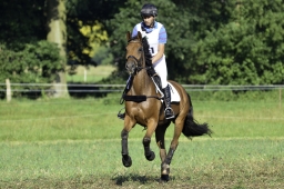 langenhagen-2017_cic1-112-jpg