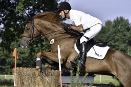 langenhagen-2017_cic1-117-jpg