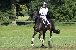 langenhagen-2017_cic1-123
