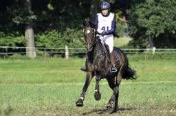 langenhagen-2017_cic1-135