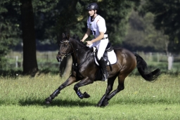 langenhagen-2017_cic1-140