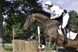 langenhagen-2017_cic1-163