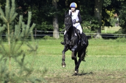 langenhagen-2017_cic1-164