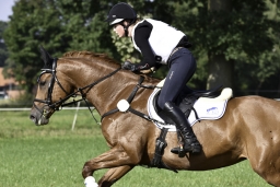 langenhagen-2017_cic1-169