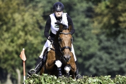 langenhagen-2017_cic1-171