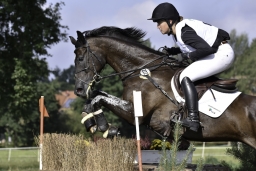 langenhagen-2017_cic1-182